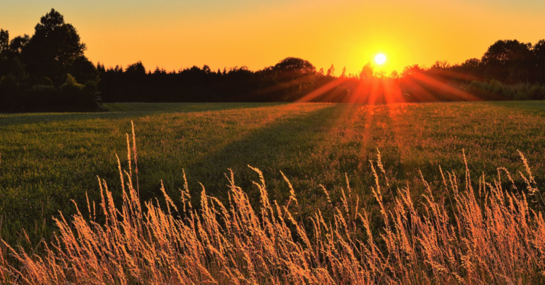 7 Easy Steps to Embrace Redemption